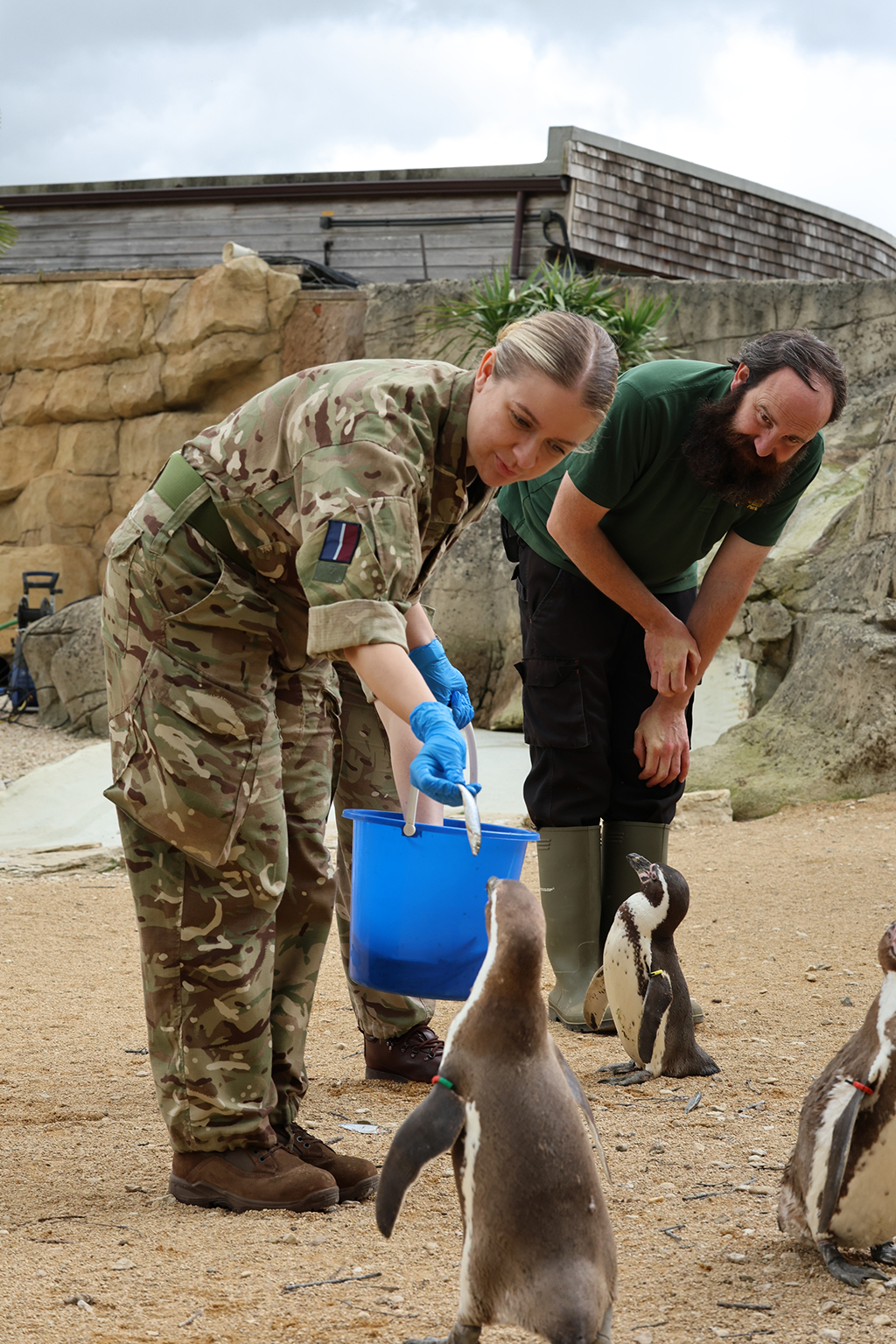 Second image of Team members feeding the penguins